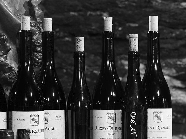 Domaine Fabien Coche, Meursault, France