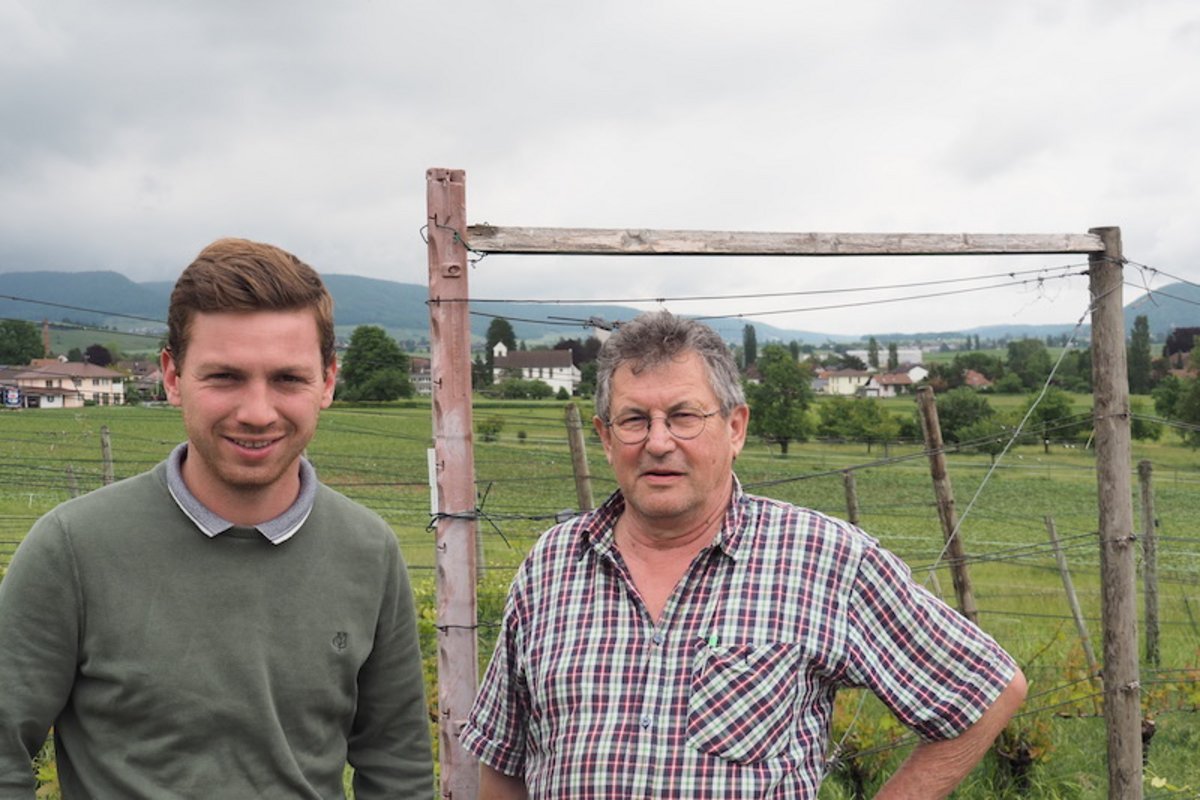 Auer Reben GmbH, Hallau, Switzerland