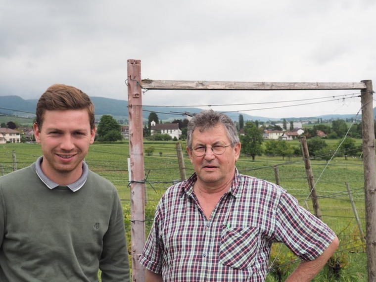 Auer Reben GmbH, Hallau, Switzerland