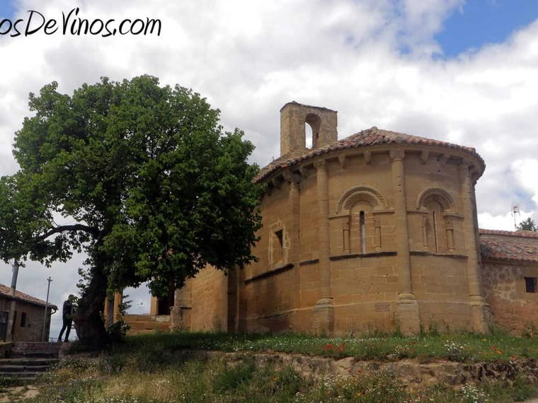 Bodegas Tarón, Tirgo, Spain