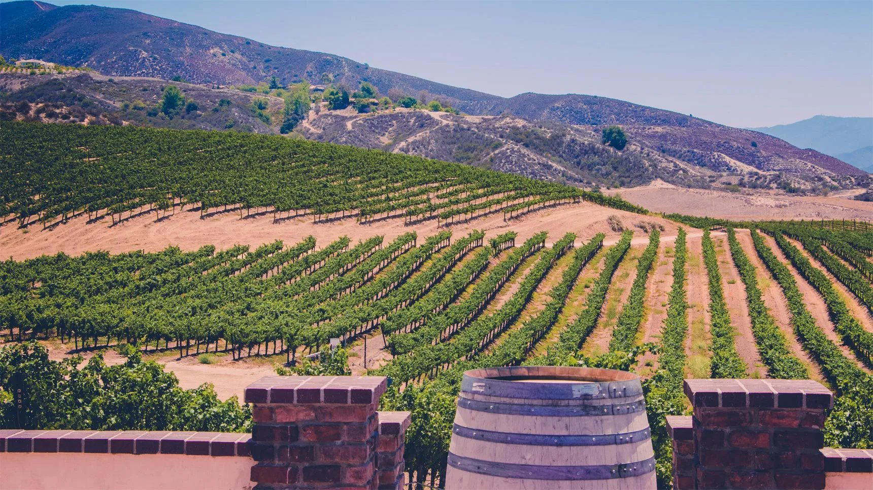 QA Application Pick 4 winery in Los Angeles