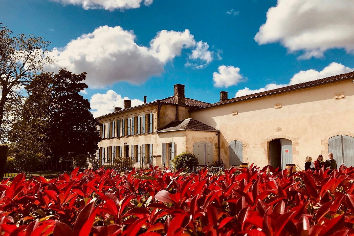 Château Anthonic