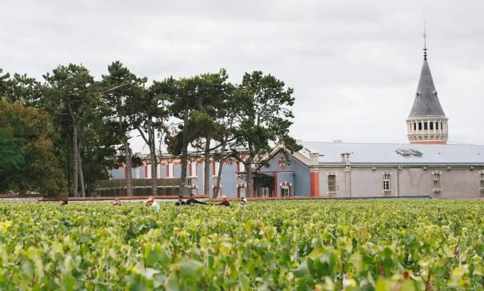 Champagne Jacquart, Reims, France