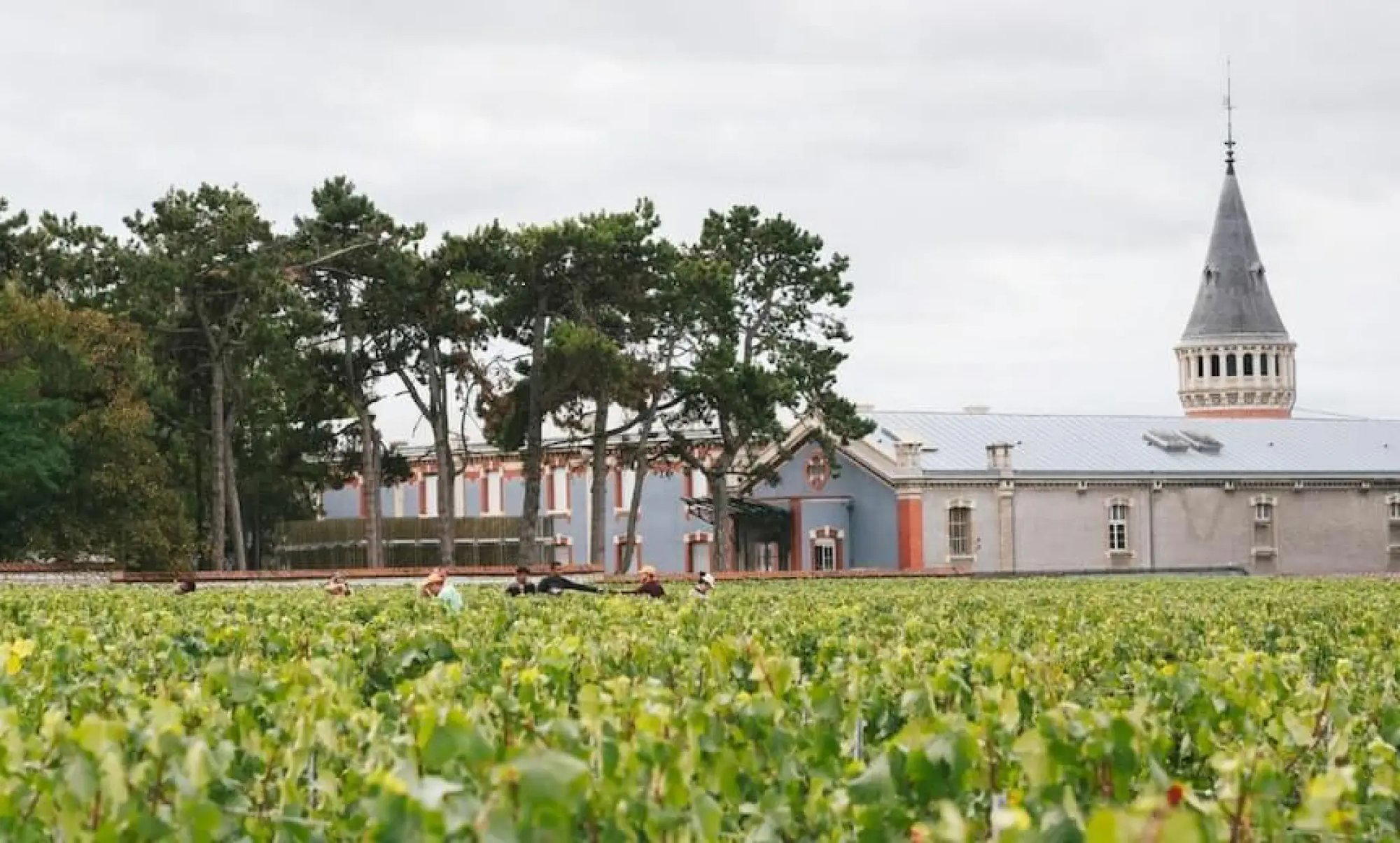Champagne Jacquart winery in Reims, France