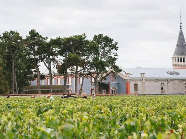 Champagne Jacquart, Reims, France