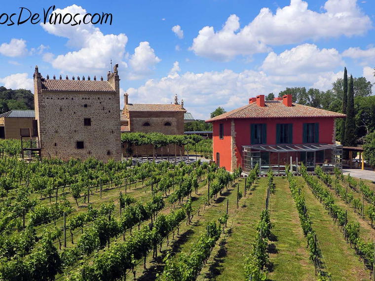 Bodega Ca' di Mat, Pelayos De La Presa, Spain