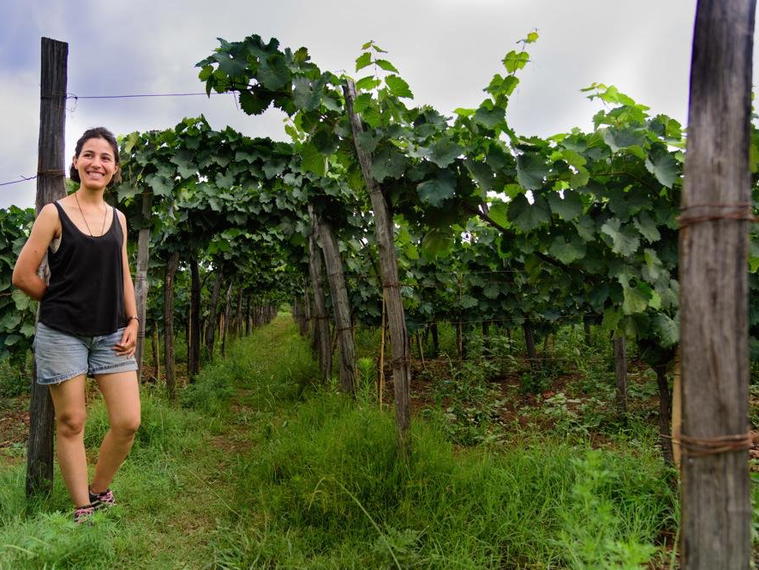 Baia's Wine, Obcha, Georgia
