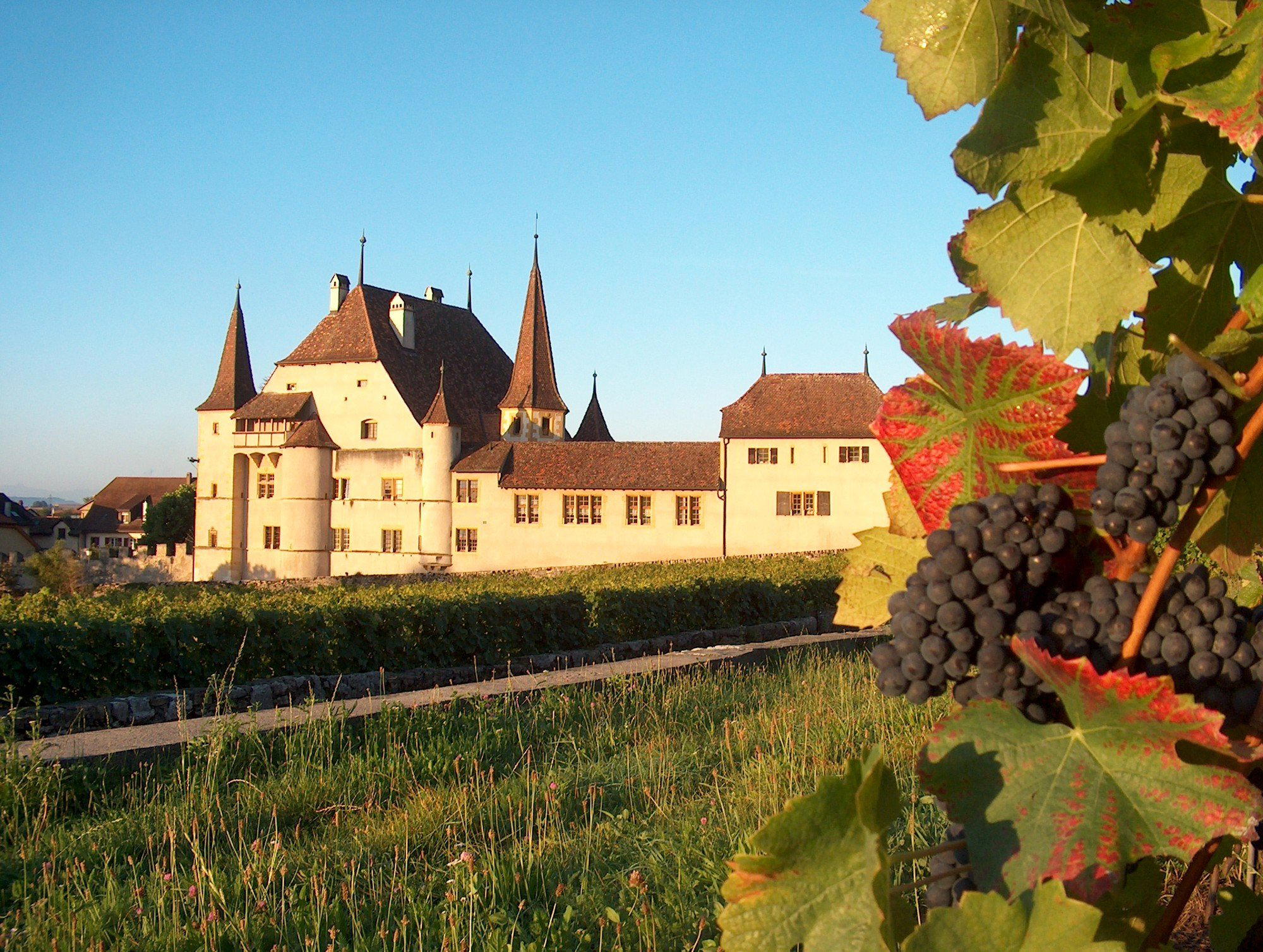 Cave des Lauriers winery in Cressier Ne