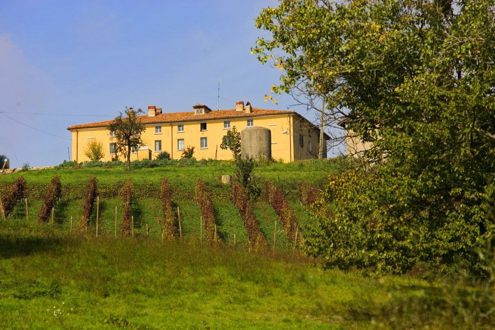 Conte Vistarino, Winery in Rocca De Giorgi