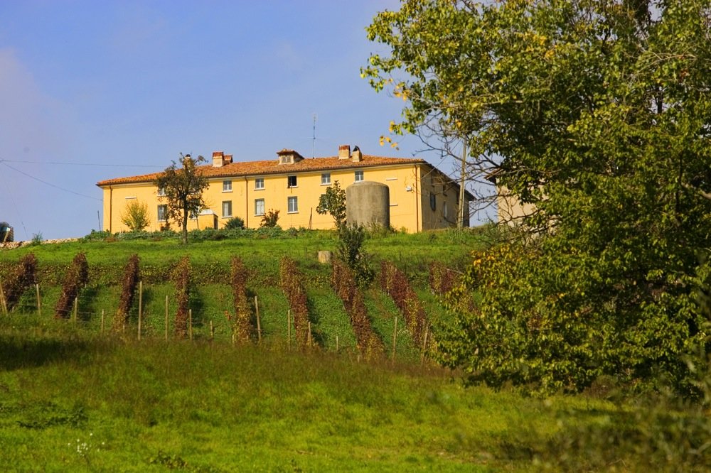 Conte Vistarino, Rocca De Giorgi, Italy