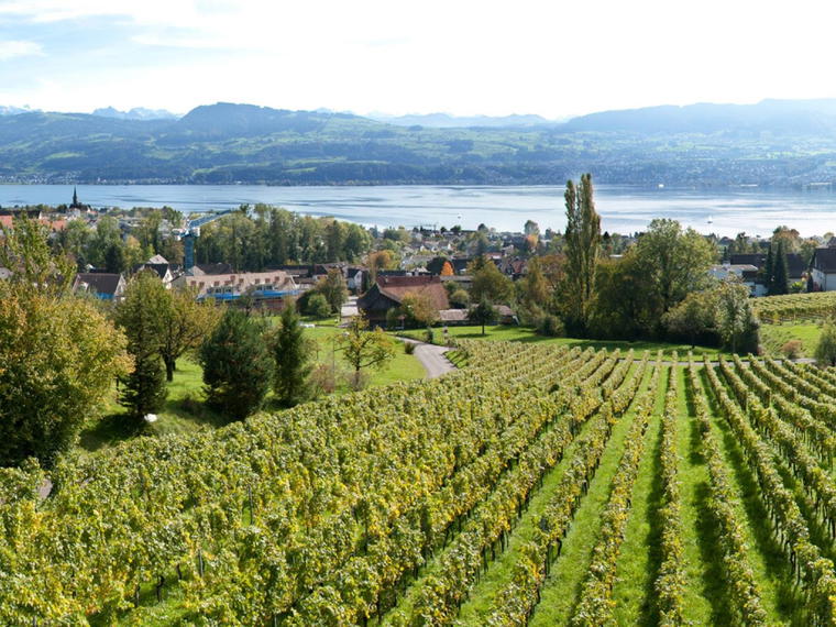 Bachmann Weingut am Zürichsee, Stäfa, Switzerland