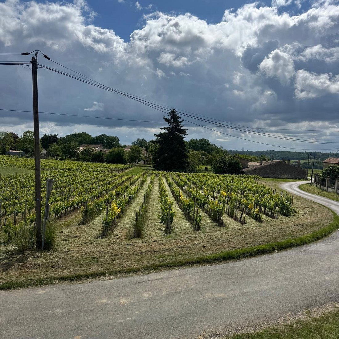 Château Clarisse, Winery in Puisseguin