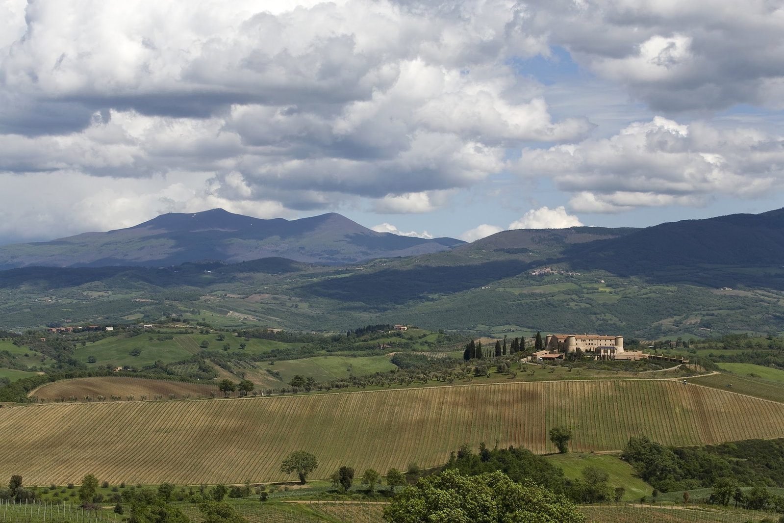 Agostina Pieri, Montalcino, Italy