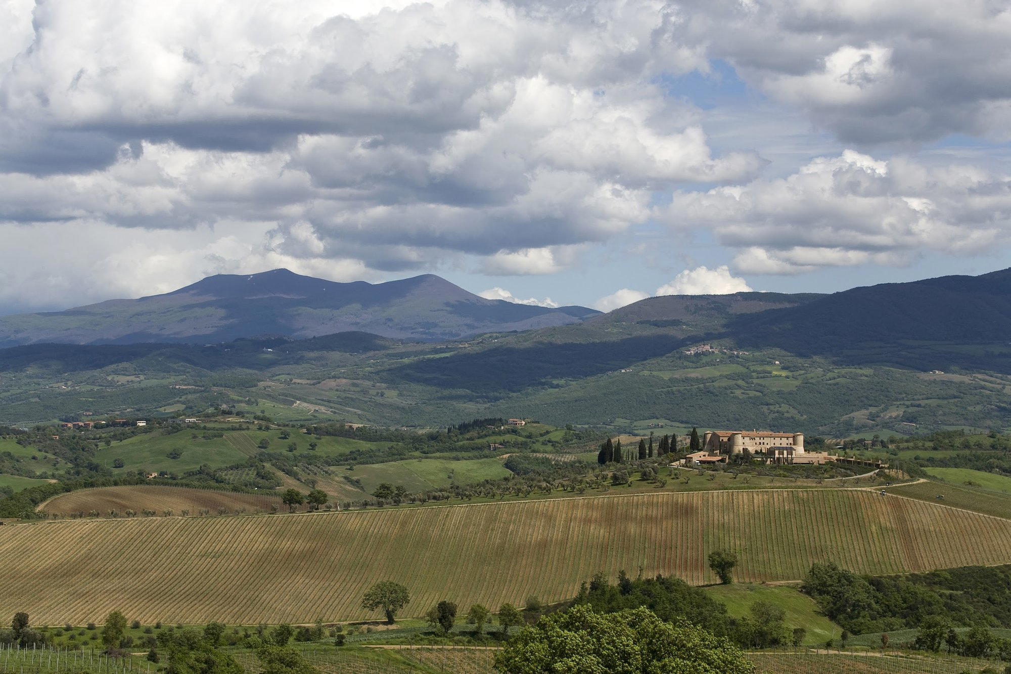 Agostina Pieri winery in Montalcino