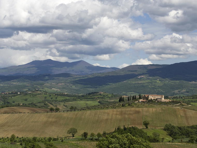 Agostina Pieri, Montalcino, Italy