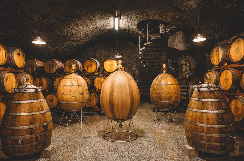 Klet Brda, Winery in Brda