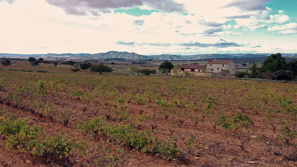 Bodegas Rafael Cambra, Winery in Fontanaras Dels Alforins