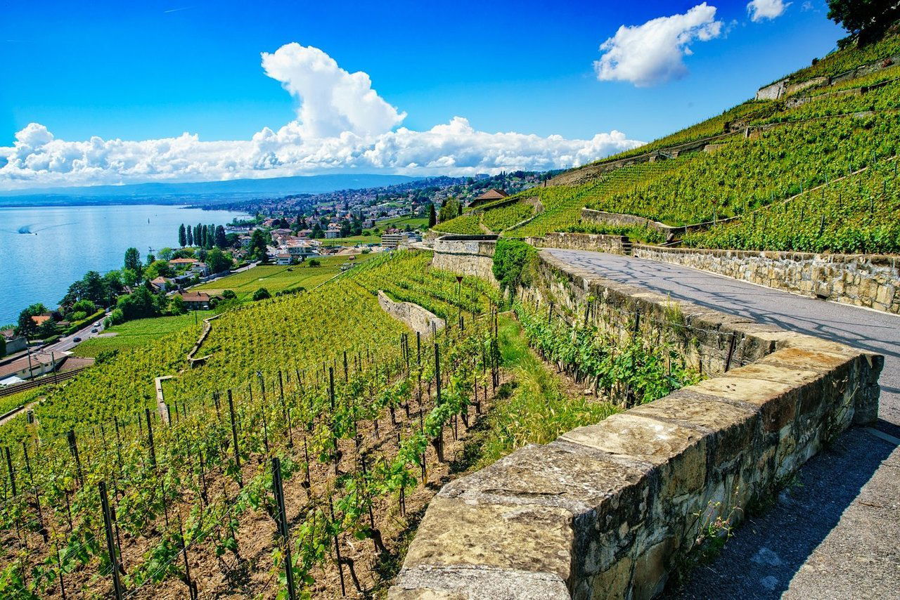 A. & C. Chevalley, Winery in Lutry