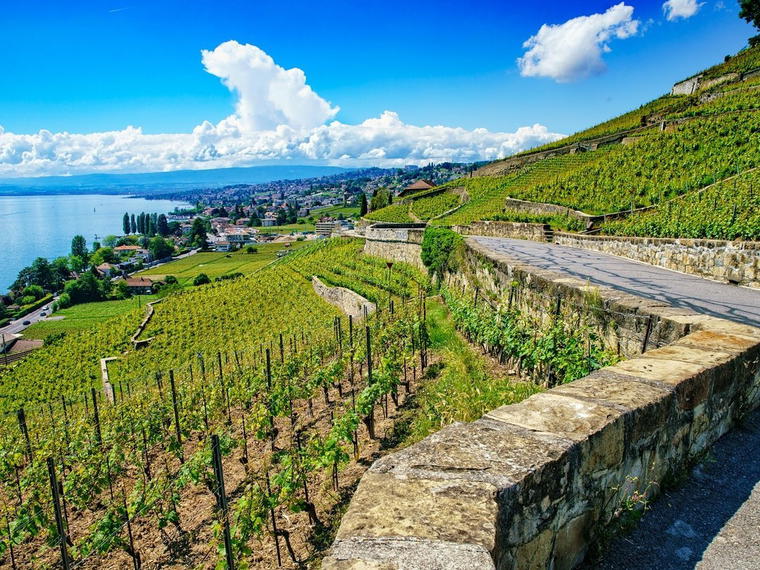 A. & C. Chevalley, Lutry, Switzerland