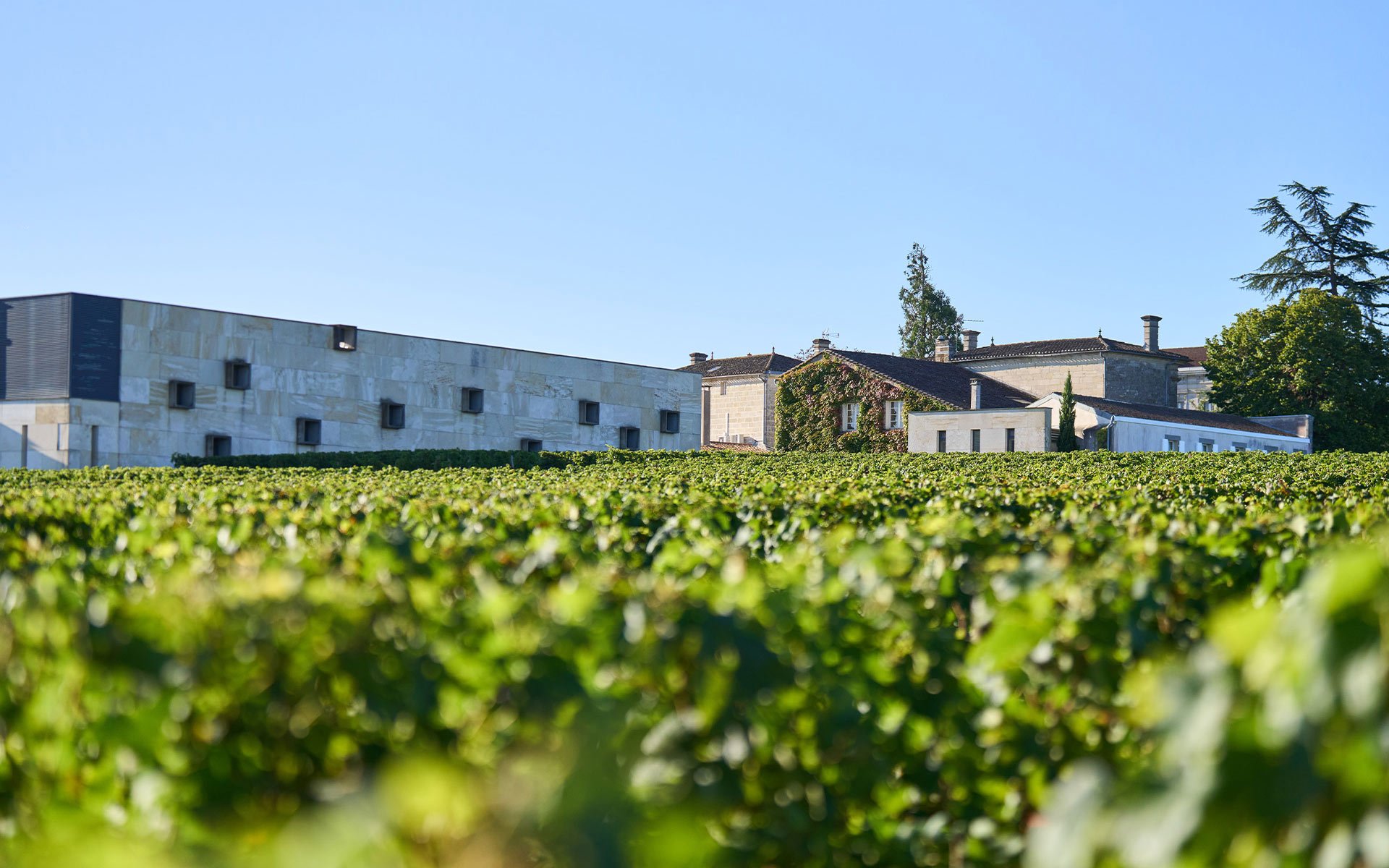 Château La Croix de Gay, Winery in Pomerol