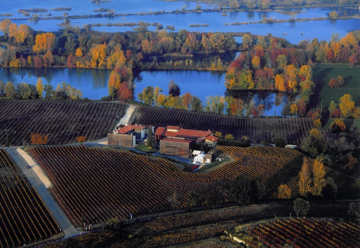 Bersi Serlini, Winery in Provaglio D Iseo