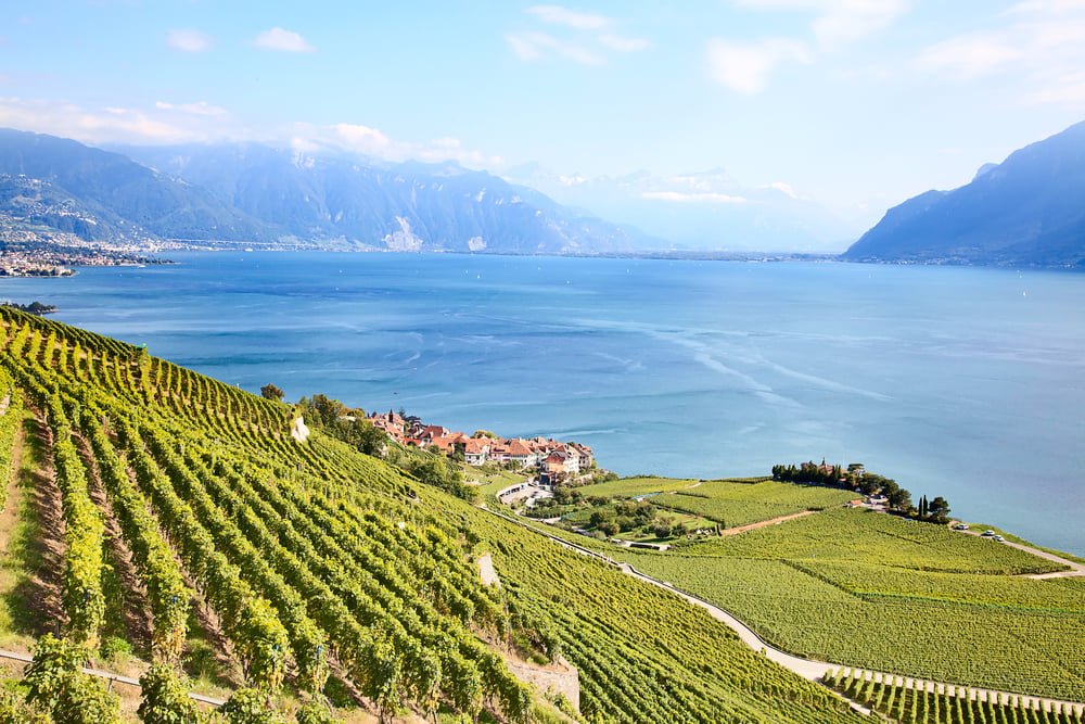 Anima Vins, Vevey, Switzerland