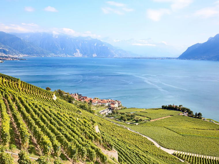 Anima Vins, Vevey, Switzerland