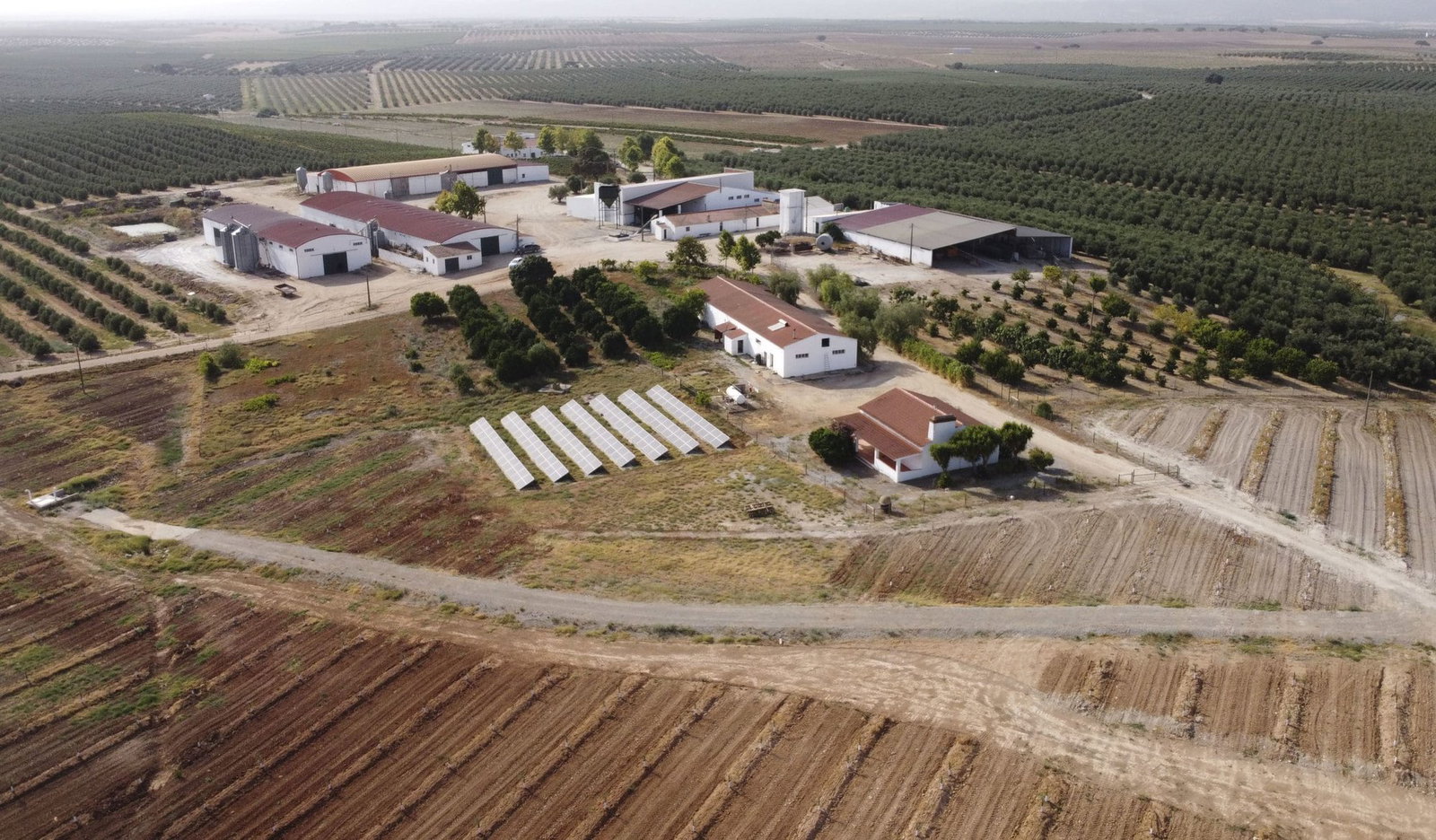 Herdade dos Coteis, Moura, Portugal