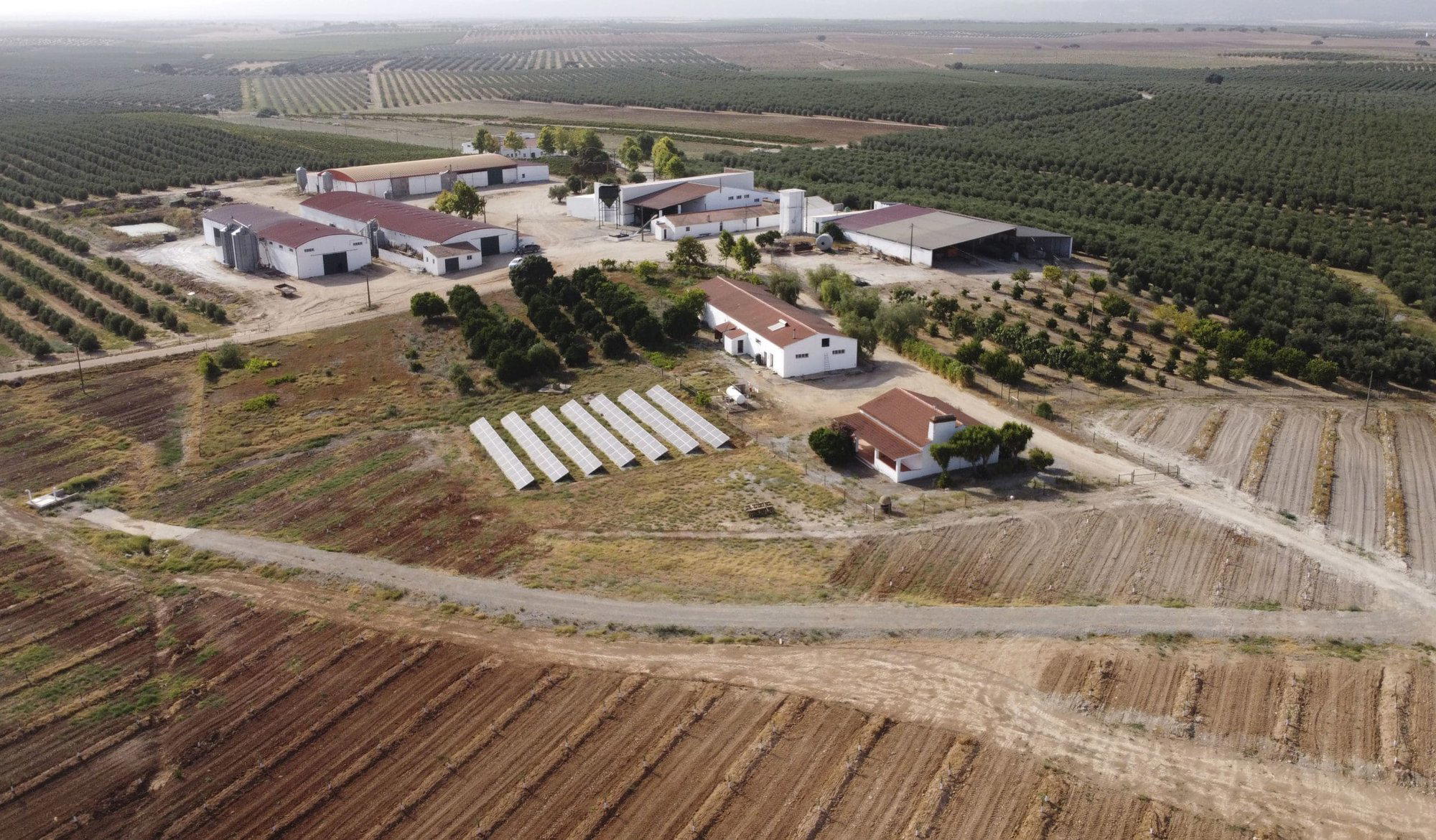 Herdade dos Coteis, Moura, Portugal