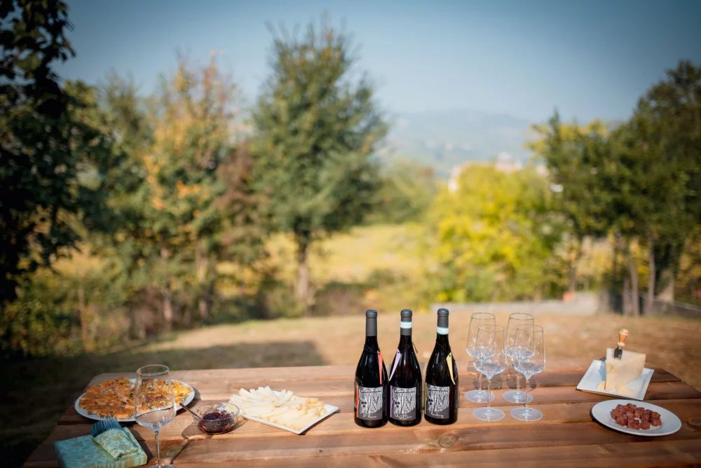 Cantina Taia, Winery in Montecalvo Versiggia