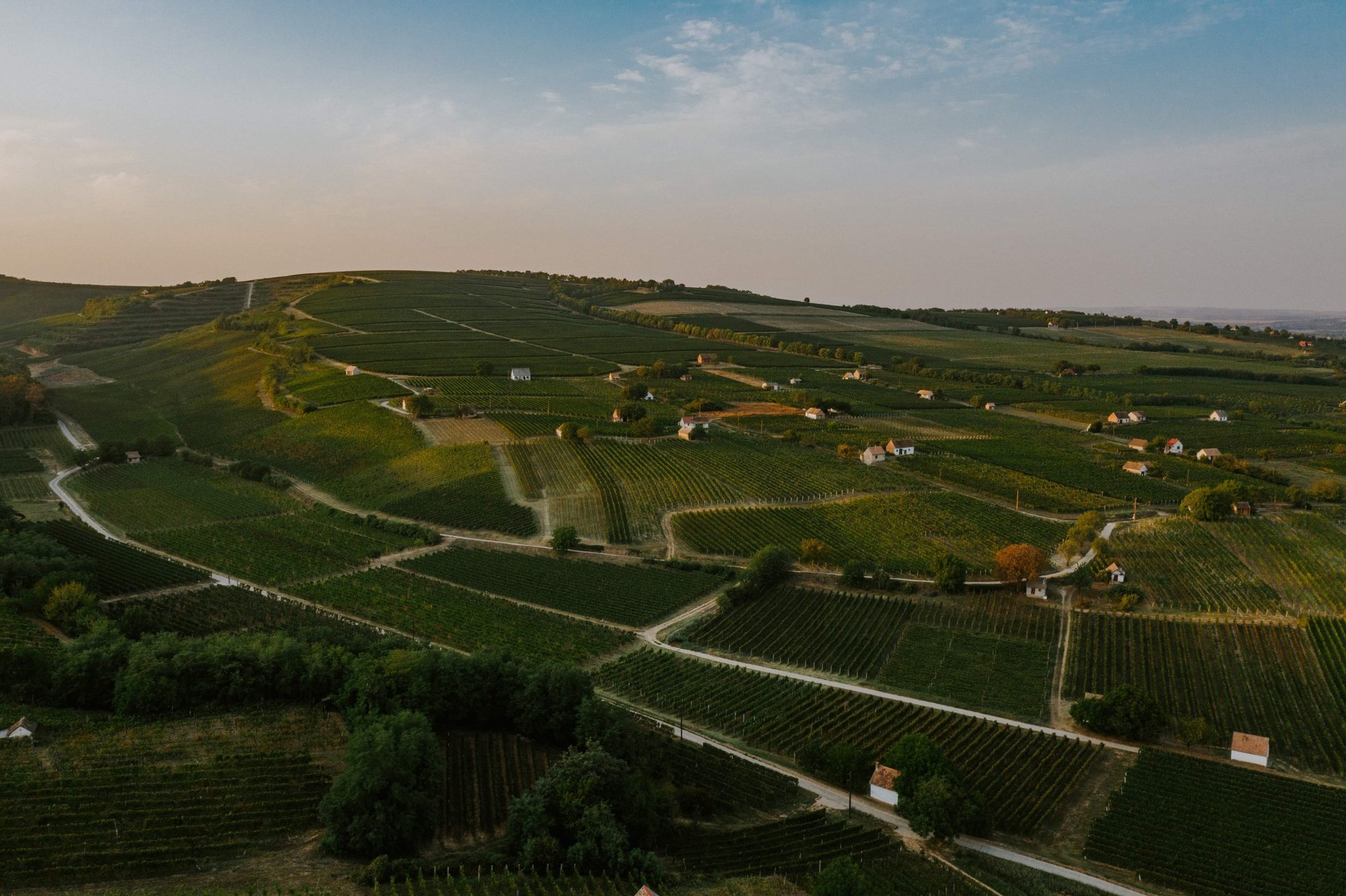 Balassa Bor, Tokaj, Hungary