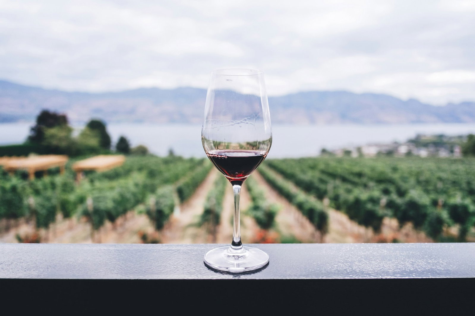 Blackenbrook Vineyard, Nelson, New Zealand