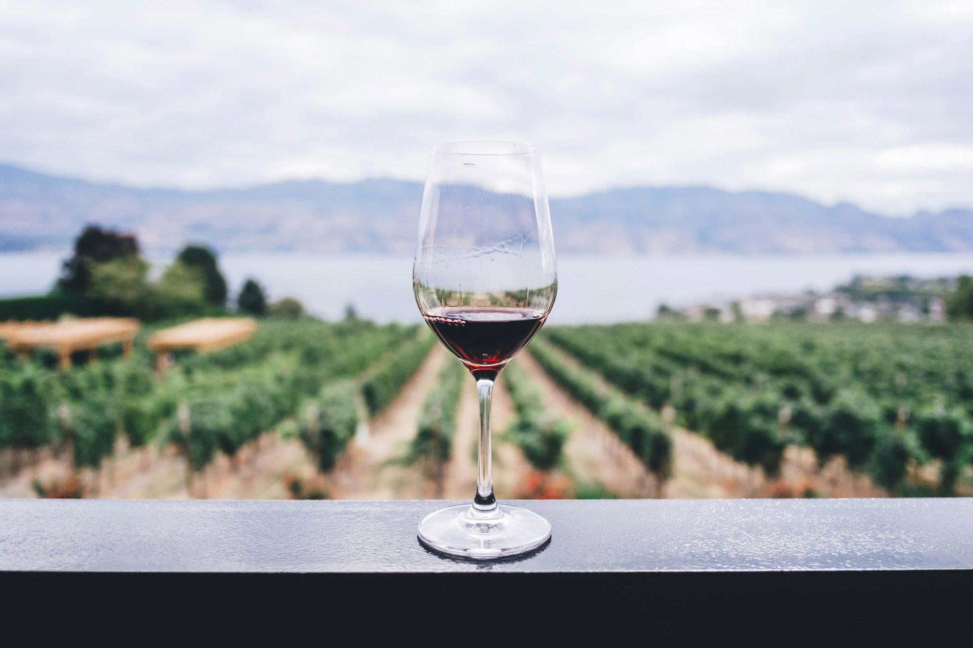 Blackenbrook Vineyard winery in Nelson