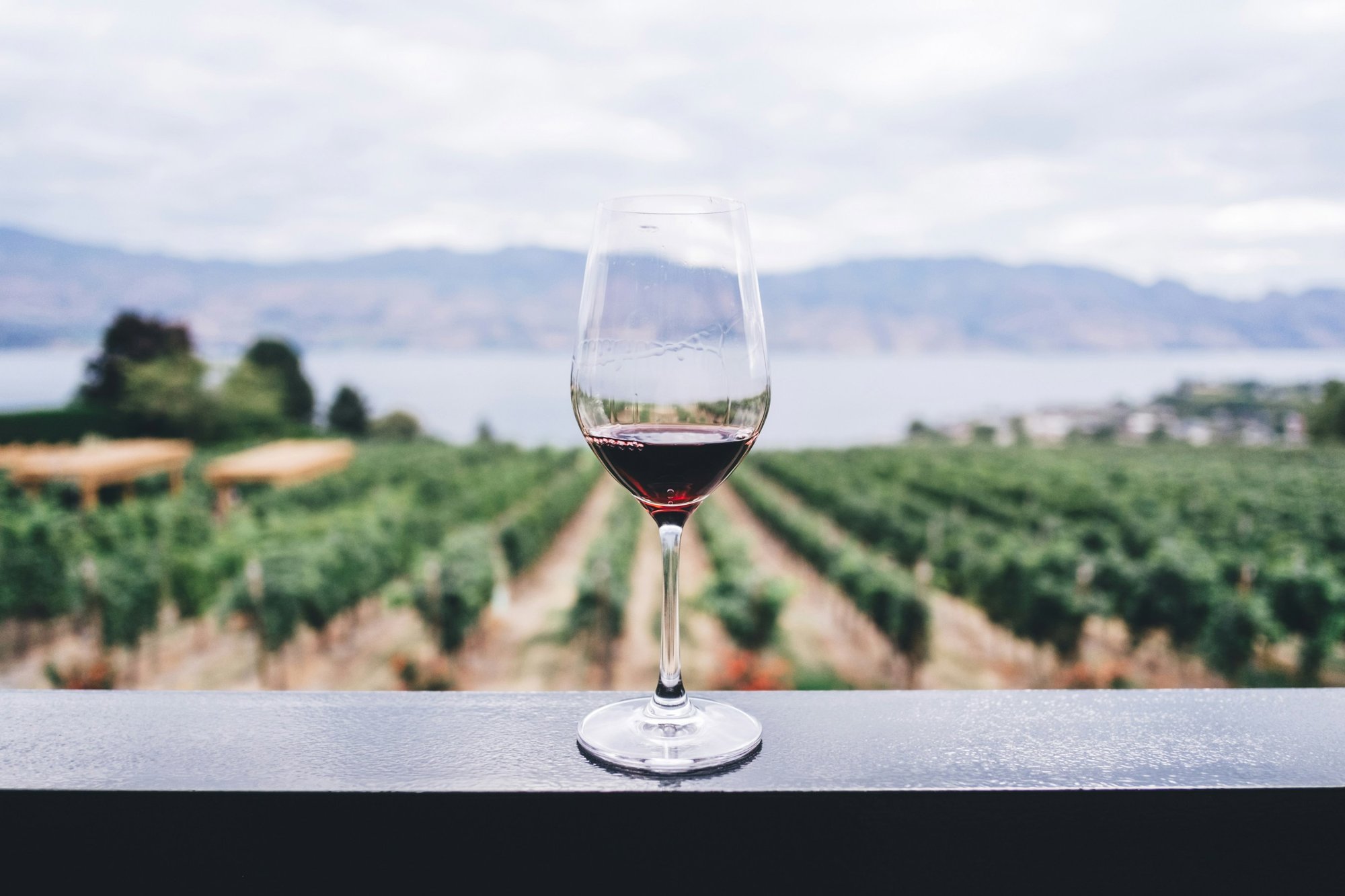 Blackenbrook Vineyard