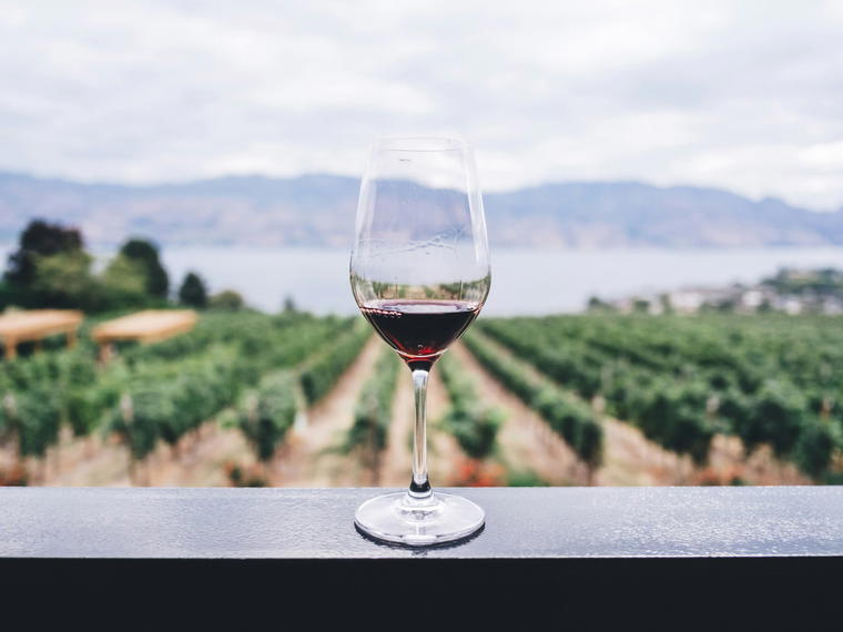 Blackenbrook Vineyard, Nelson, New Zealand