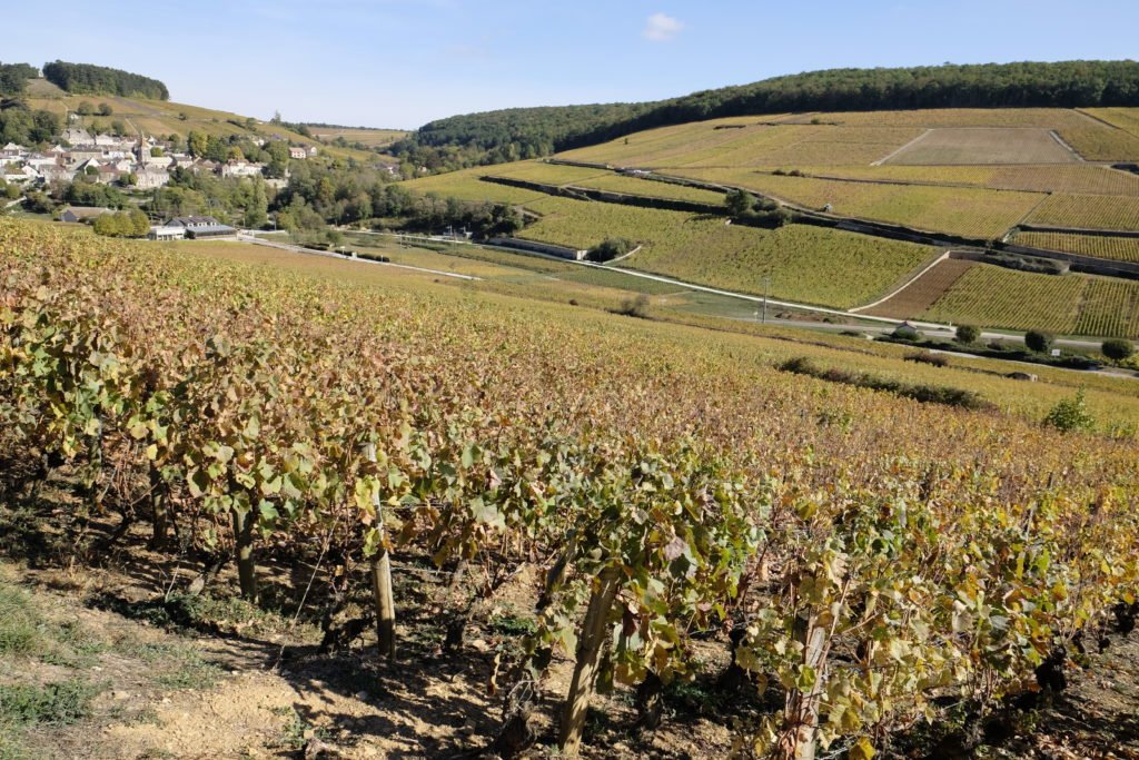 Domaine Follin-Arbelet, Aloxe Corton, France