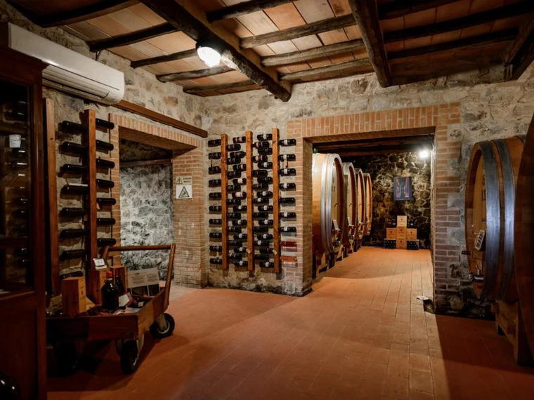 Casanuova delle Cerbaie, Montalcino, Italy
