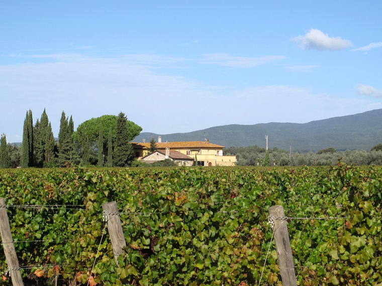 Batzella, Castagneto Carducci, Italy