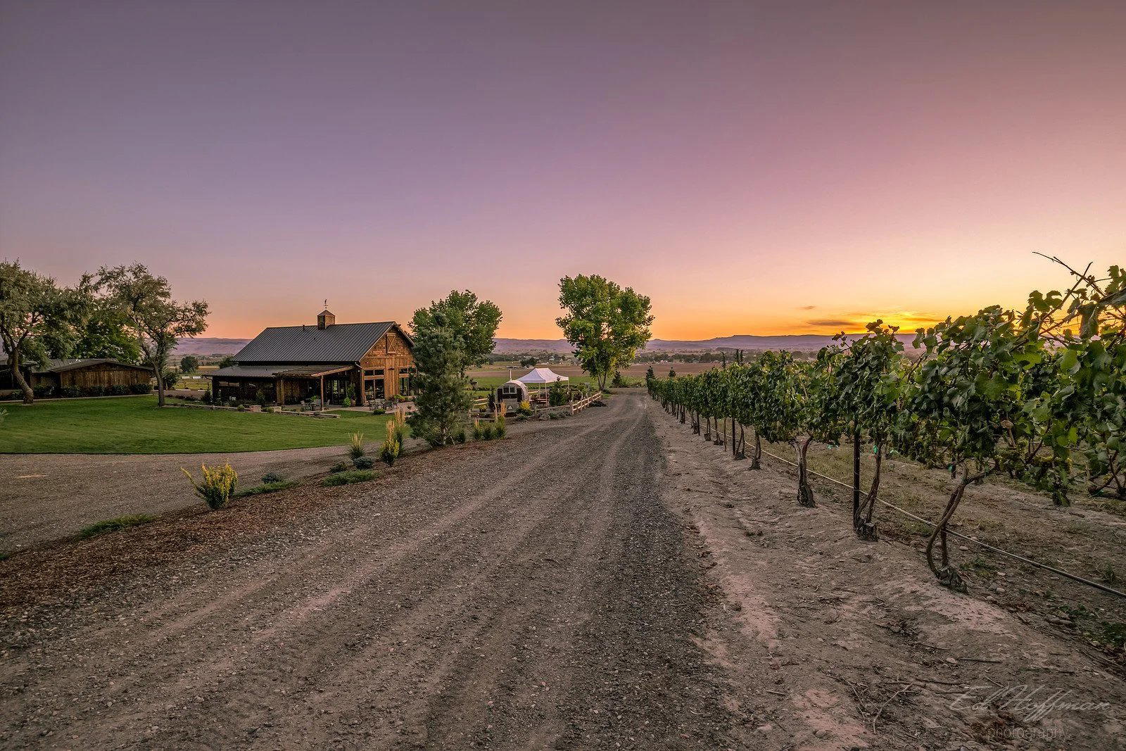 Kerry Hill Winery winery in Wilder