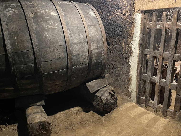 Bodegas y Viñedos Gallego Zapatero, Anguix, Spain