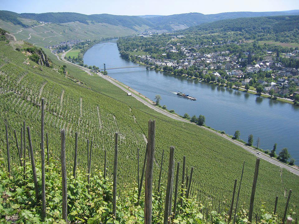 Studert-Prüm-Maximinhof winery in Bernkastel-Wehlen, Germany