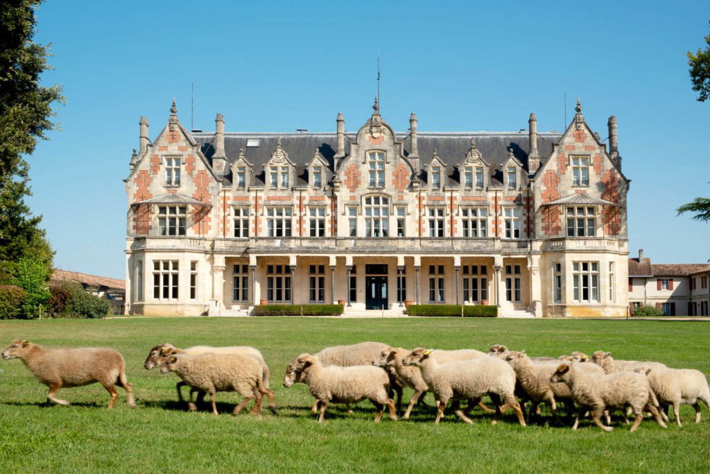 Château Cantenac Brown, Winery in Margaux Cantenac