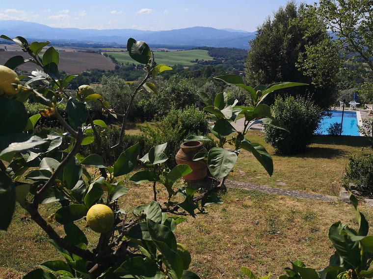 Azienda Agricola Luca Ricci, Susegana, Italy