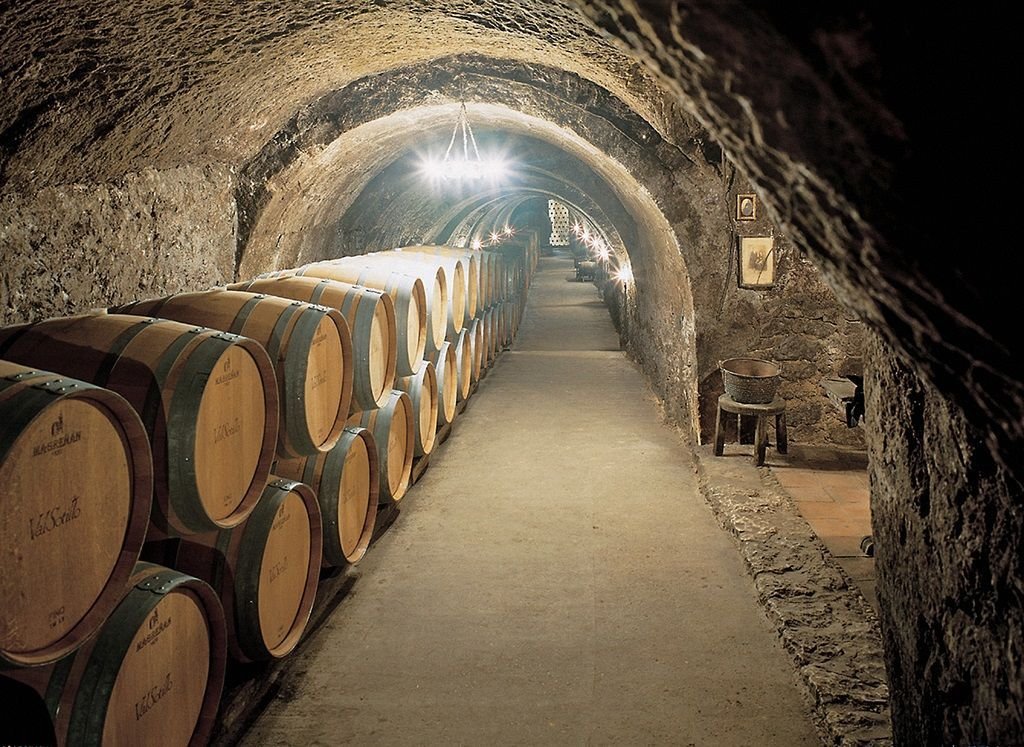 Bodegas y Viñedos Alilian