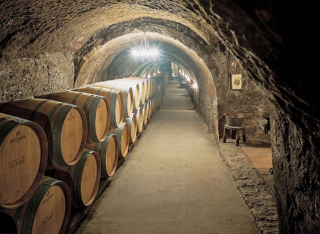 Bodegas y Viñedos Alilian winery in Aranda de Duero