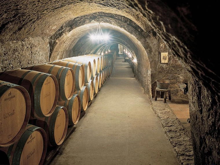 Bodegas y Viñedos Alilian, Aranda de Duero, Spain