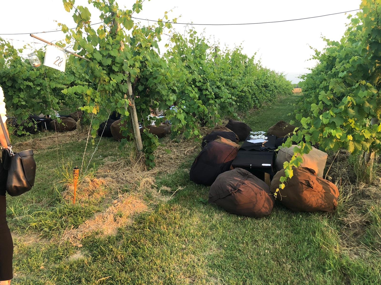 Cantina Bassoli