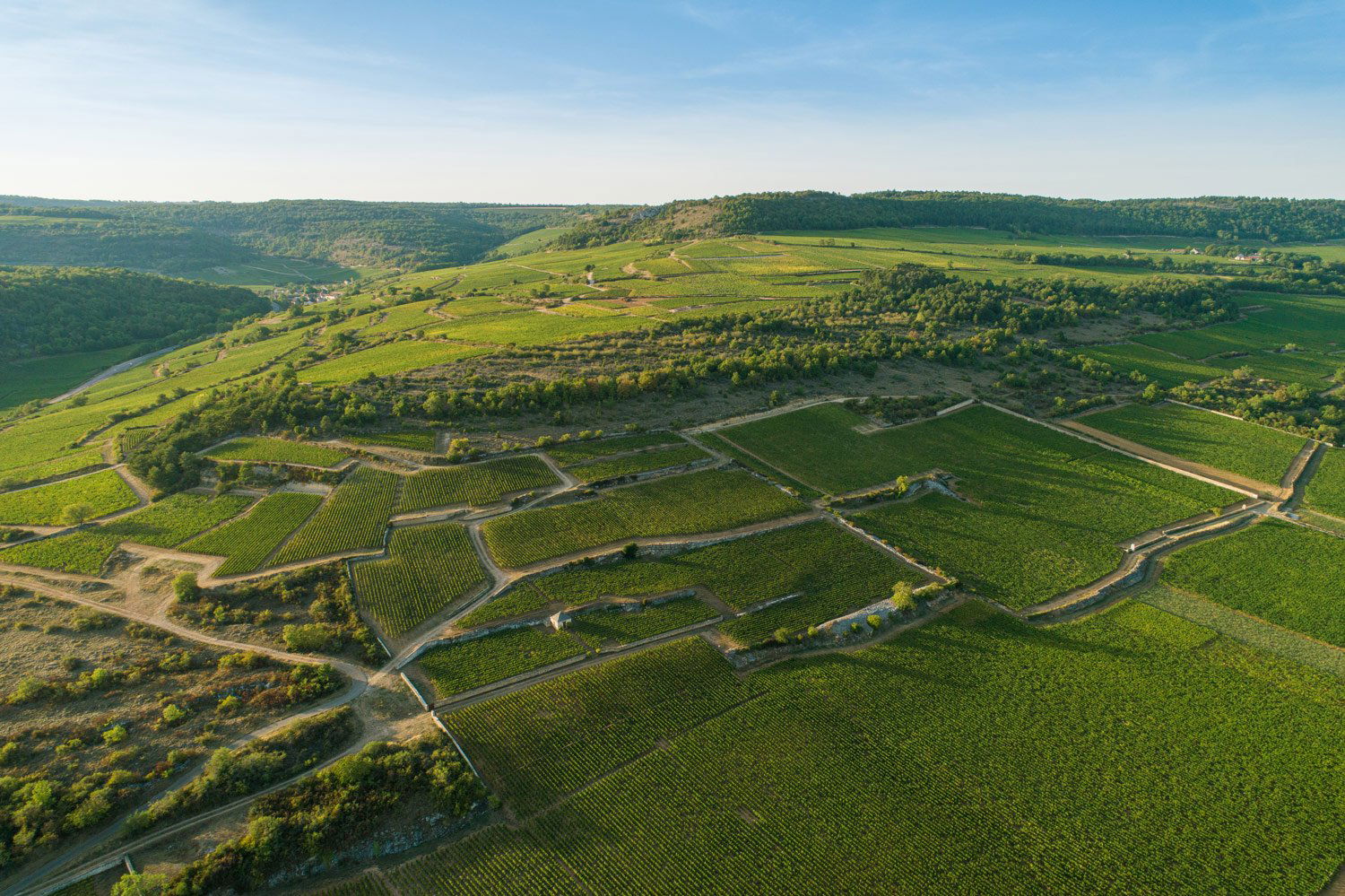Domaine Philippe Colin, Winery in Chassagne-Montrachet