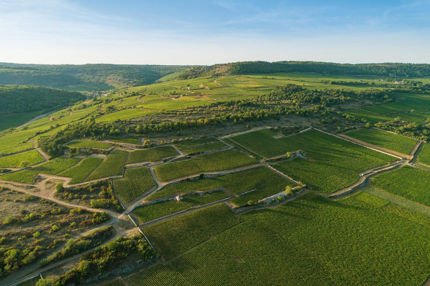 Domaine Philippe Colin winery in Chassagne-Montrachet