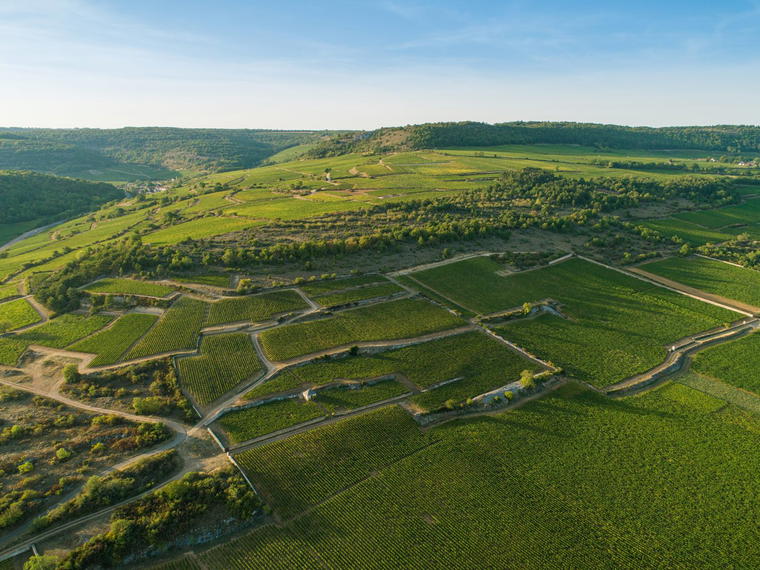 Domaine Philippe Colin, Chassagne-Montrachet, France